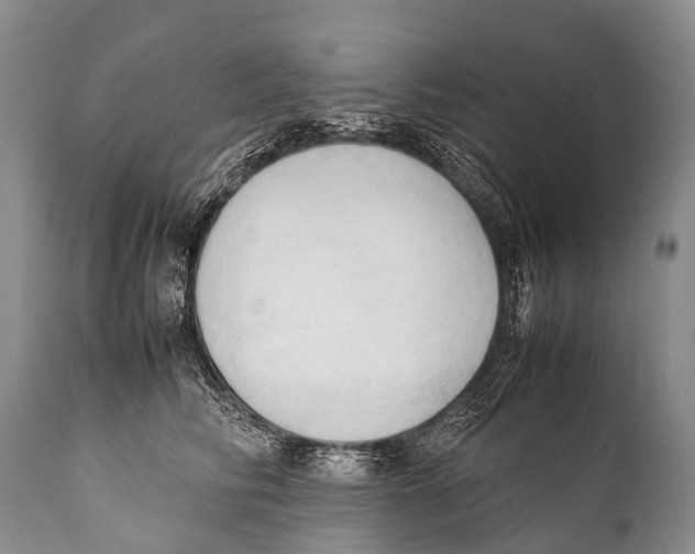 X0000111950710200908241204