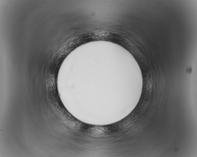 X0000111950711200908241204