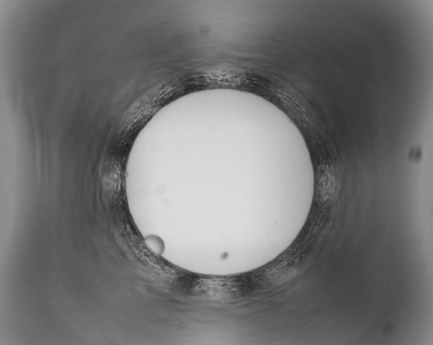 X0000111950713200908241204