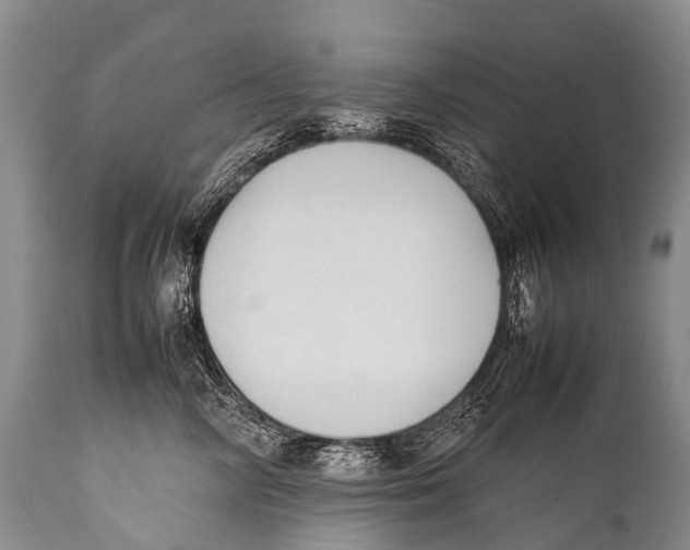 X0000111950714200908241204