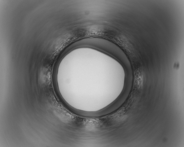 X0000111950716200908241204
