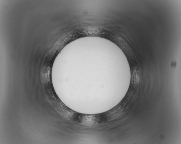X0000111950717200908241204