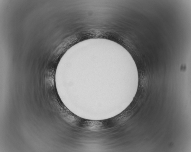 X0000111950719200908241204