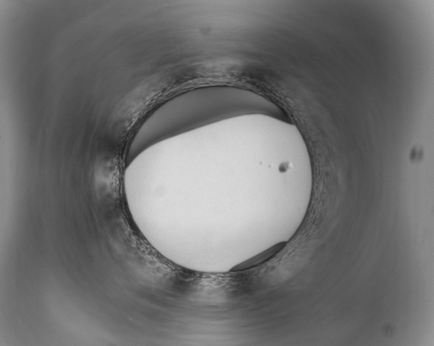 X0000111950720200908241204