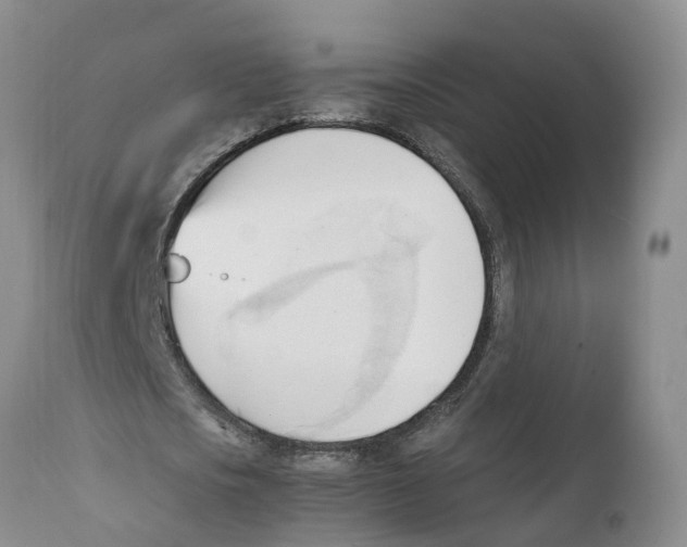 X0000111950721200908241203