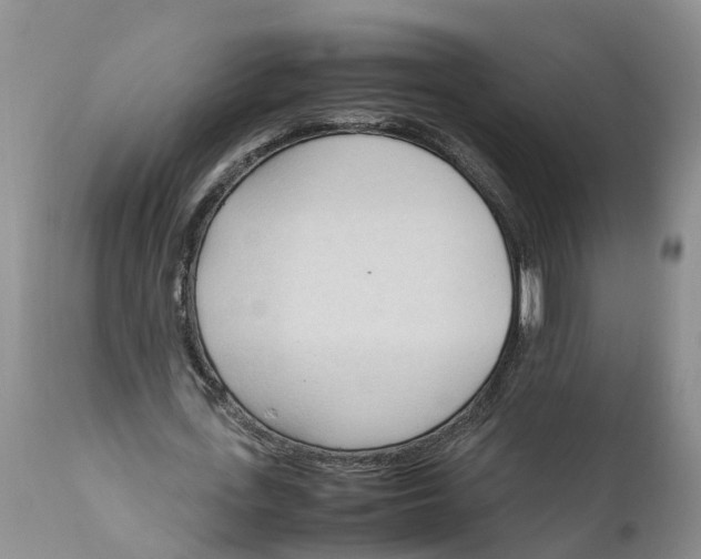 X0000111950723200908241203