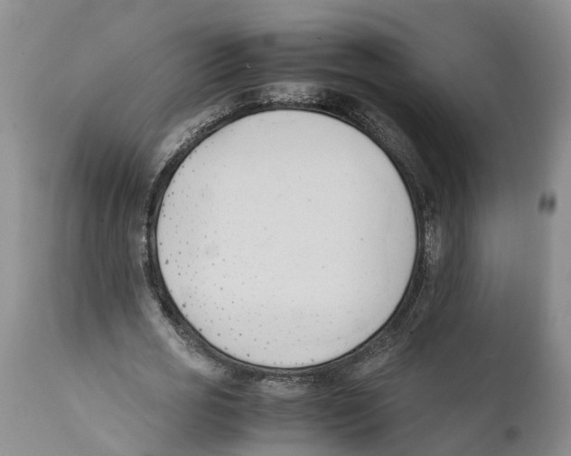 X0000111950725200908241203