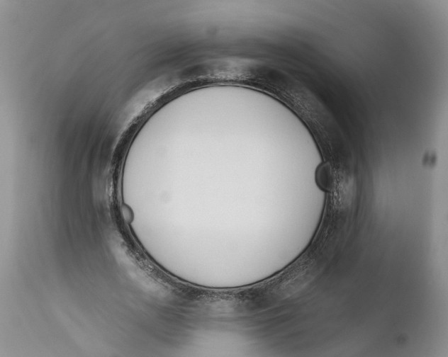 X0000111950726200908241203