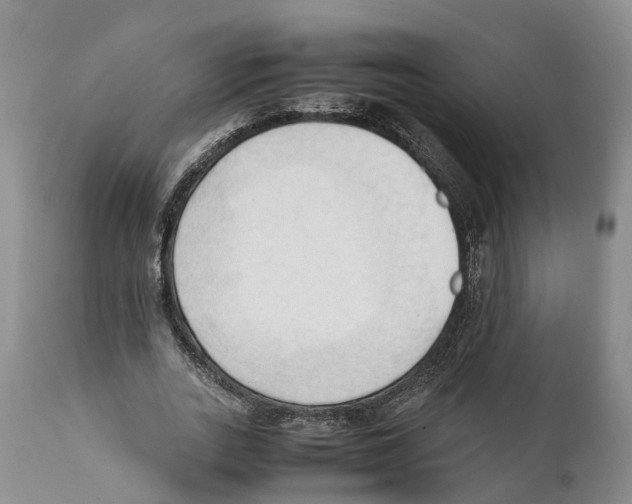 X0000111950727200908241203