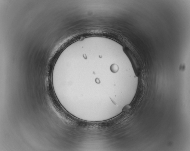 X0000111950728200908241203
