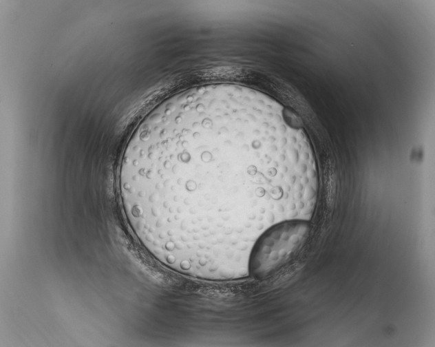 X0000111950729200908241203
