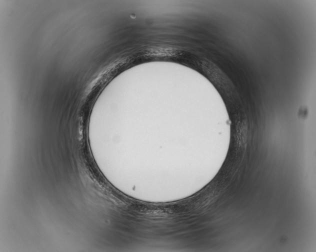 X0000111950731200908241203