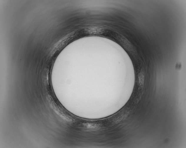 X0000111950733200908241204