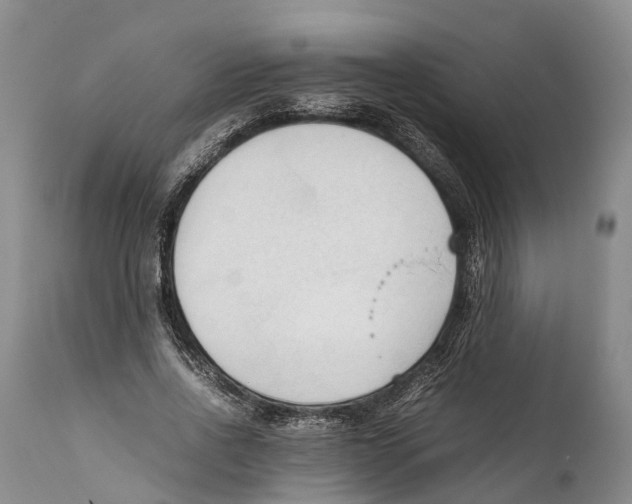 X0000111950734200908241204