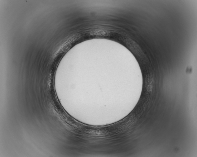 X0000111950735200908241204