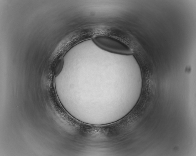 X0000111950736200908241204
