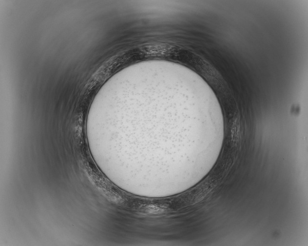 X0000111950737200908241204