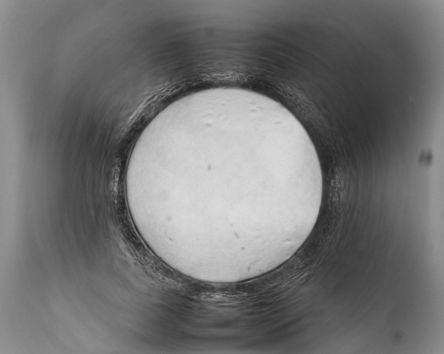 X0000111950739200908241204