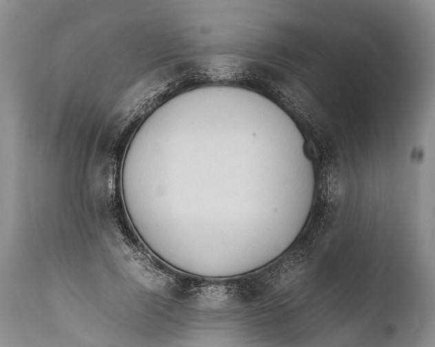 X0000111950740200908241204
