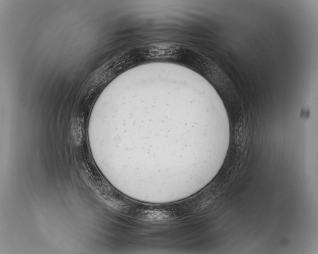 X0000111950741200908241204