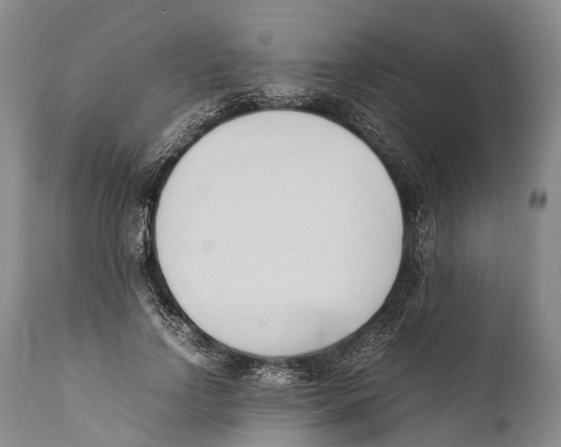 X0000111950742200908241204