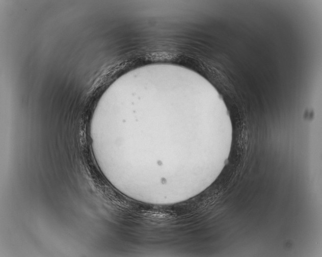 X0000111950743200908241204