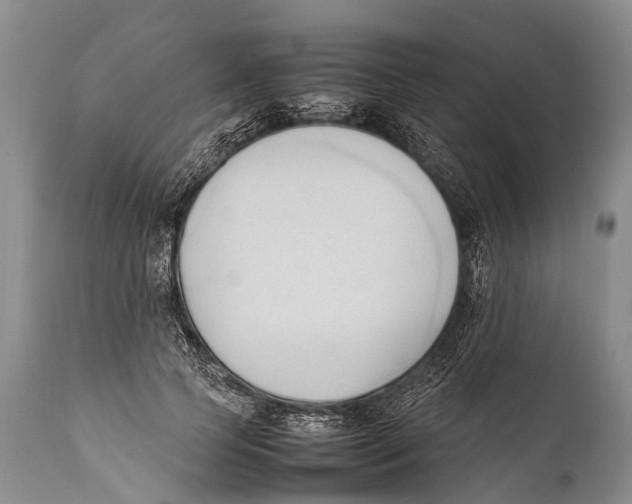 X0000111950745200908241204