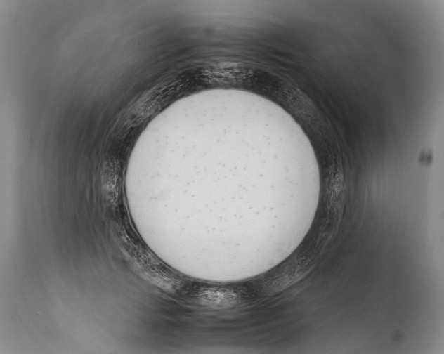 X0000111950749200908241204