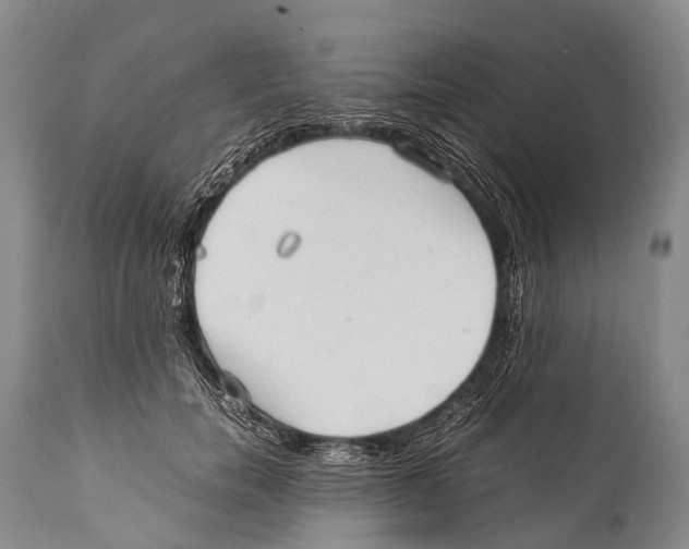 X0000111950750200908241204