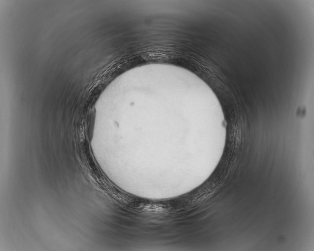X0000111950751200908241204