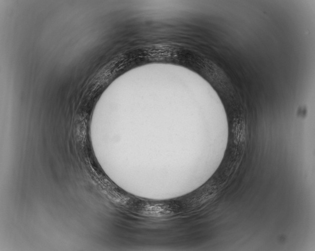 X0000111950753200908241204