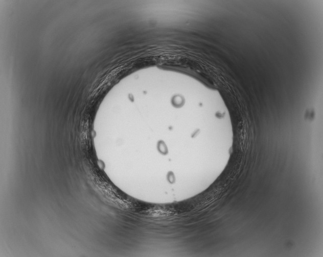 X0000111950756200908241204