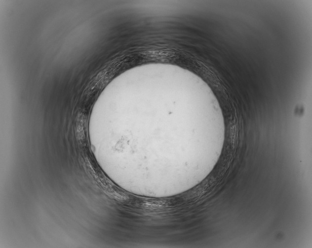 X0000111950757200908241204