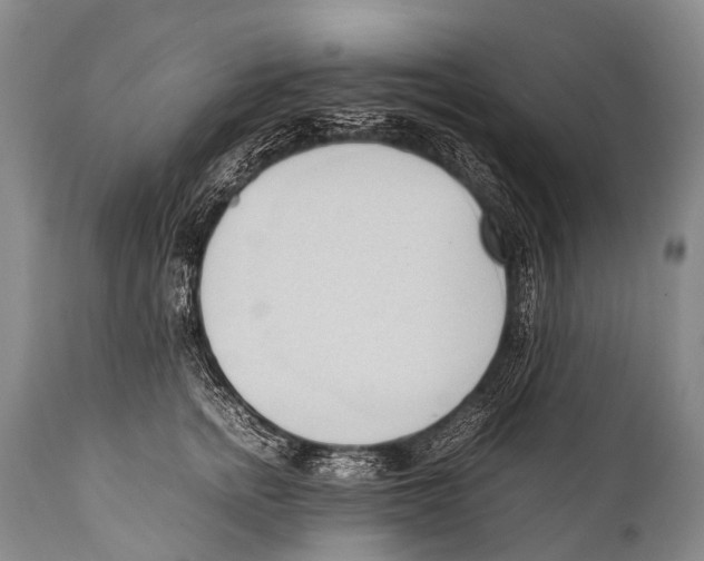 X0000111950758200908241204