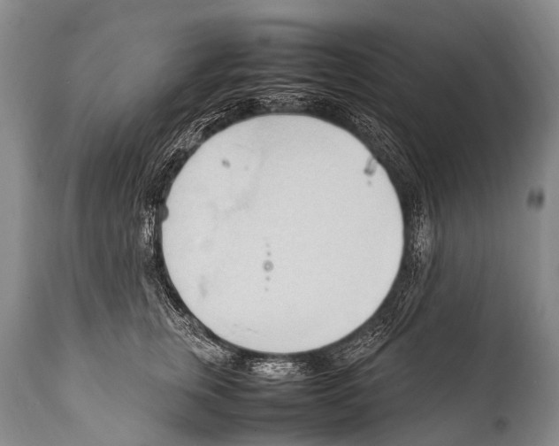 X0000111950759200908241204