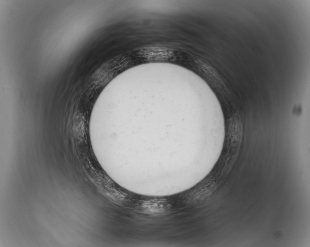 X0000111950761200908241204