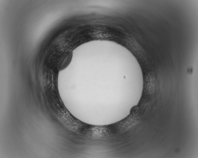 X0000111950762200908241204