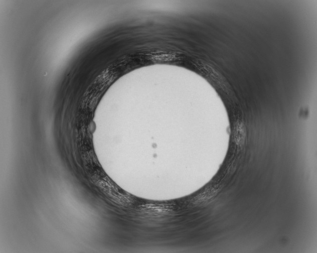 X0000111950763200908241204