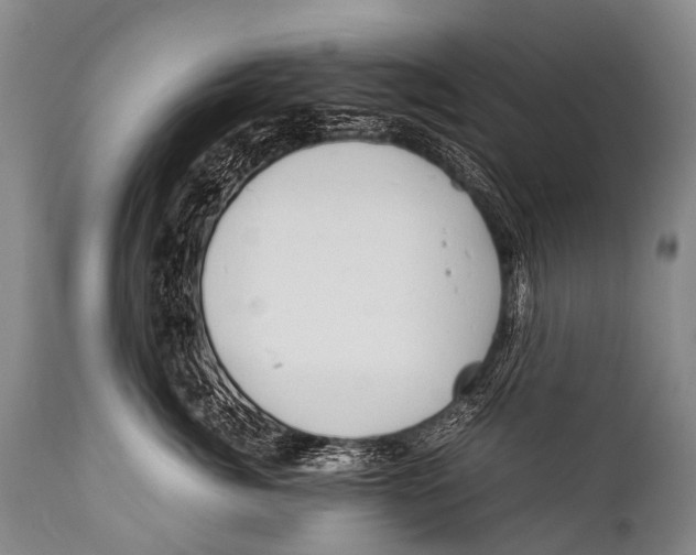 X0000111950764200908241204