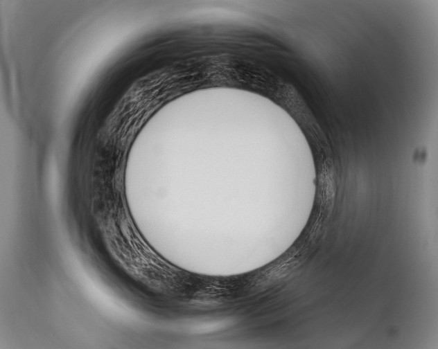 X0000111950765200908241204