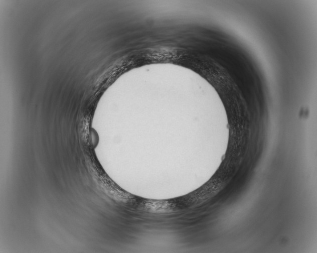 X0000111950767200908241204