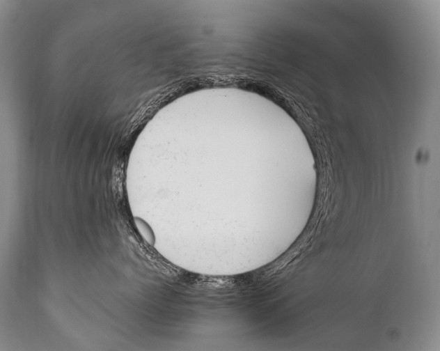 X0000111950768200908241204