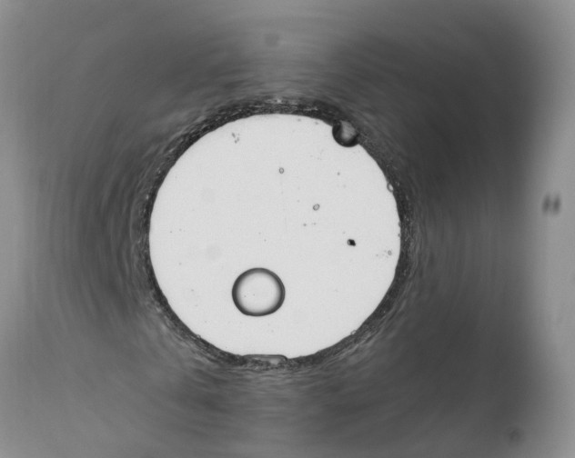 X0000111950769200908241203
