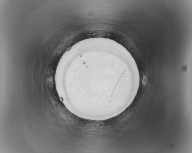 X0000111950771200908241203