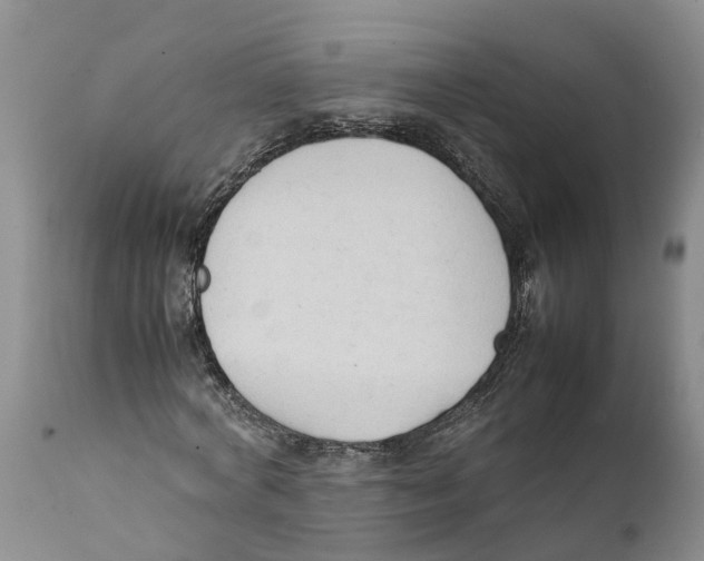 X0000111950772200908241203