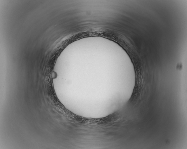 X0000111950773200908241203