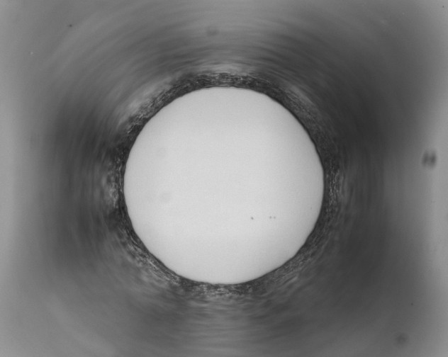 X0000111950774200908241203