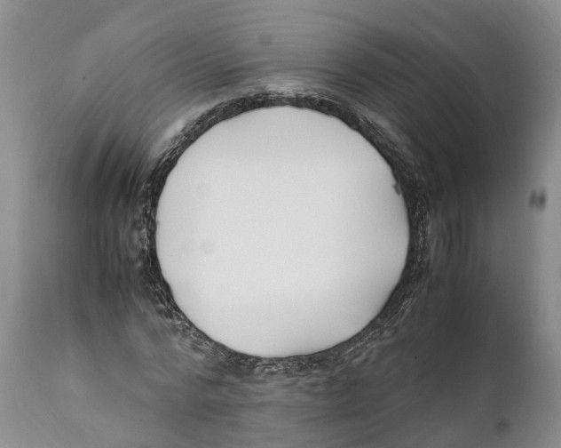 X0000111950776200908241203