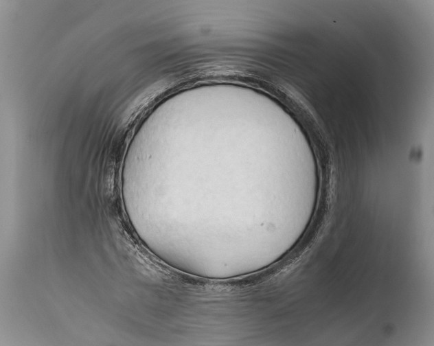 X0000111950777200908241203