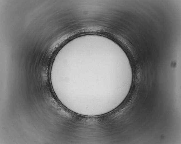 X0000111950778200908241203